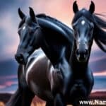 Black Horse Names